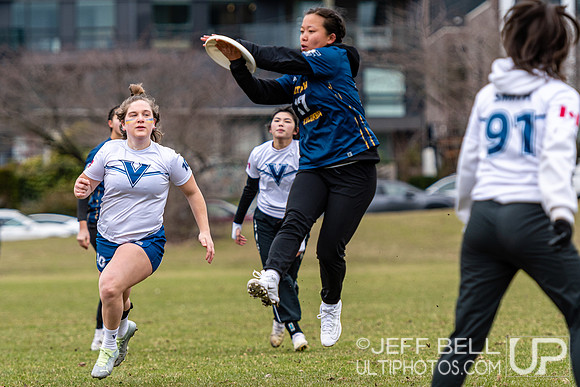 dogwood_bowl_jbp_112022_20230225