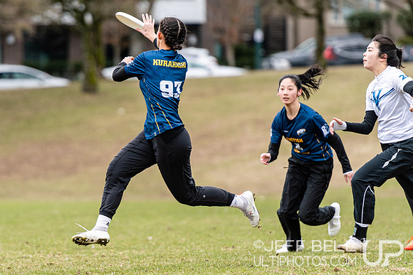 dogwood_bowl_jbp_113411_20230225