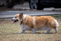 Full Coverage