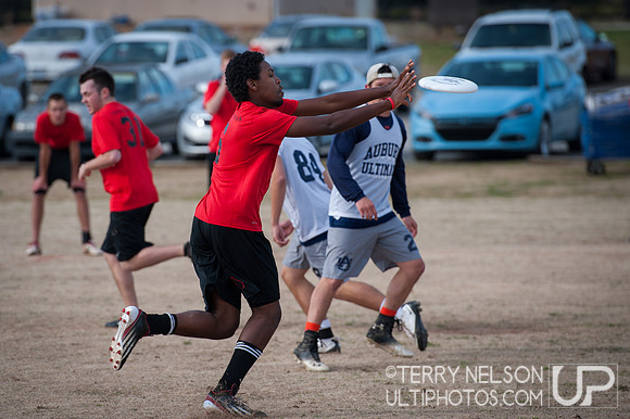Saturday - 2013 Freaknik Ultimate Tournament