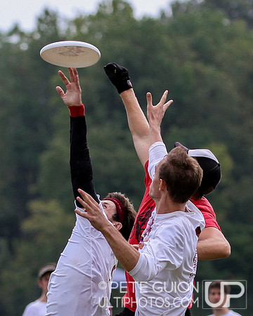 Capitol Sectionals