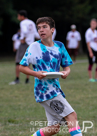 Capitol Sectionals