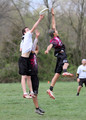 Saturday's Preveiws