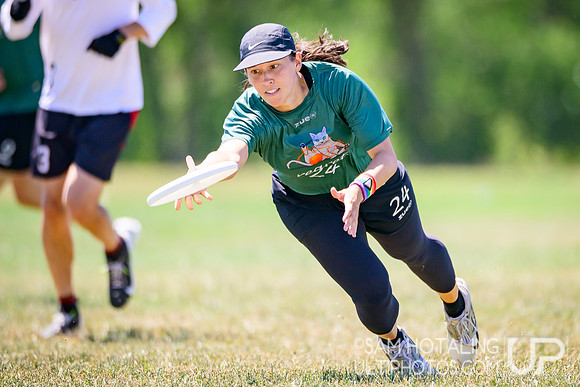 Finals at USAU Master's Championships