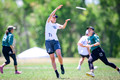 Final: regret. v LAST