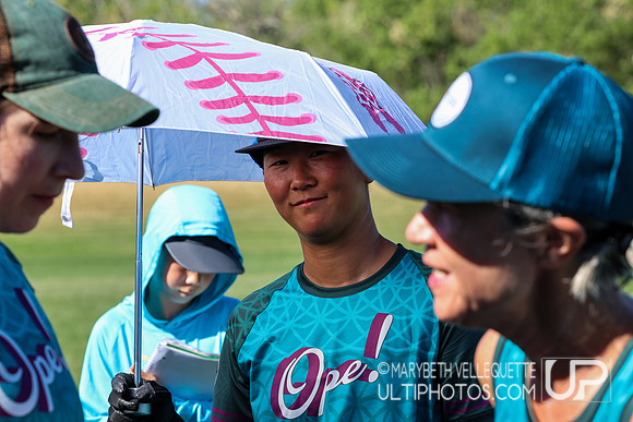 2026  USAU Masters Championships -