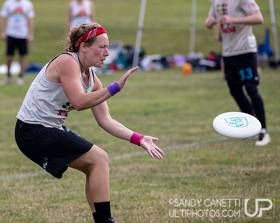 LVU's Disc Days of Summer