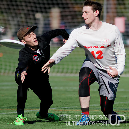 Redline vs Elite Alumni Game - Harvard Ultimate 40th Reunion