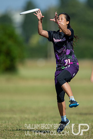 Day 2 at the 2026 WFDF World Masters Ultimate Club Championships