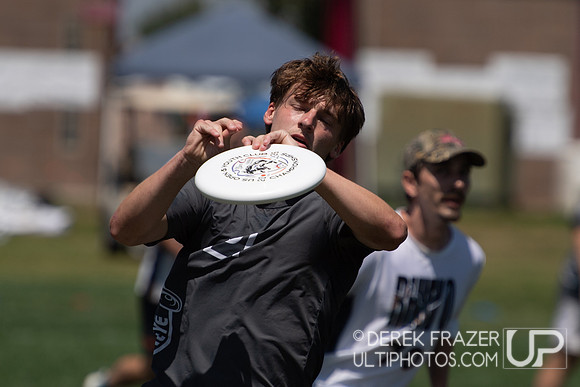 Open Semis - Rhino Sockeye