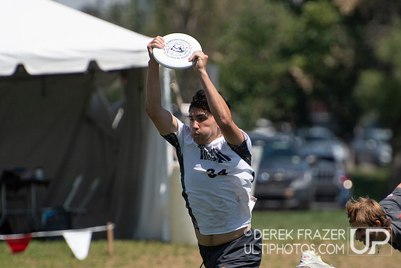 Open Semis - Rhino Sockeye