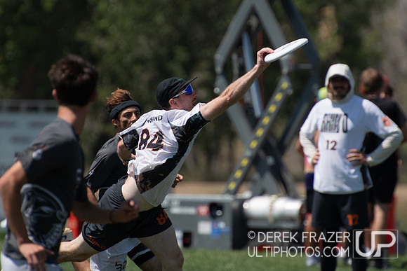 Open Semis - Rhino Sockeye