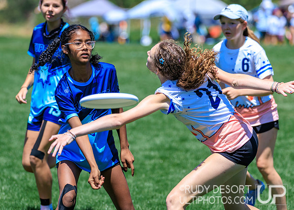 2026 USA Ultimate YCC