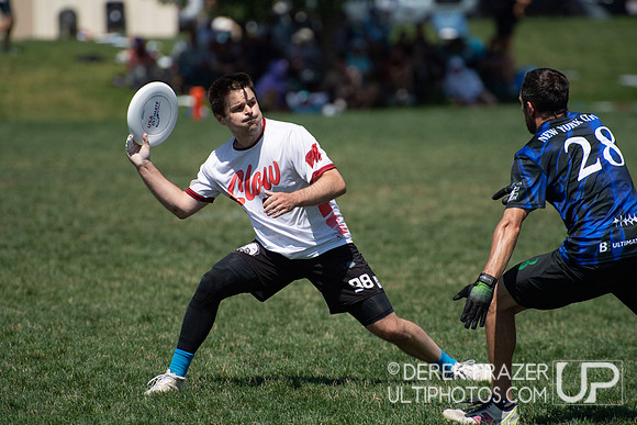 Mixed Semis - Slow XIST