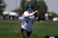 Mixed Semis - shame. Hybrid