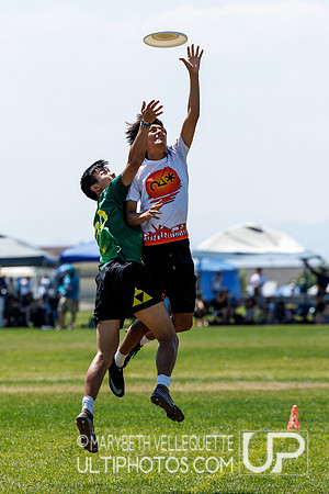 2026  US Open YCC - DIVISION