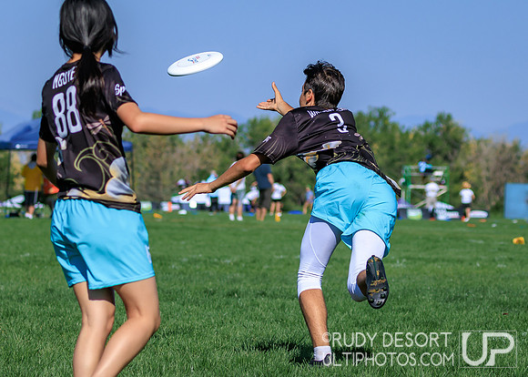 2026 USA Ultimate YCC