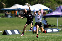 Scandal vs Fury Final -- 2026 ICC