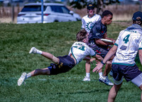2026 USA Ultimate YCC