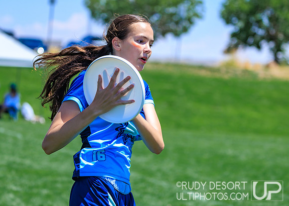 2026 USA Ultimate YCC