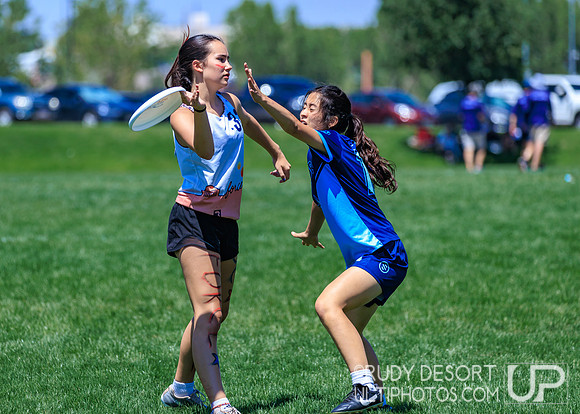 2026 USA Ultimate YCC