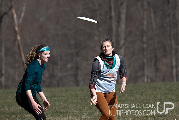 2023 Shamrock Sync Up