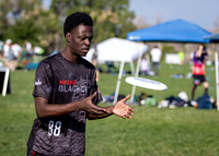 2026 USA Ultimate YCC