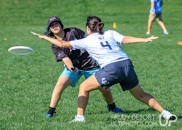 2026 USA Ultimate YCC
