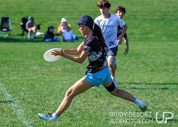 2026 USA Ultimate YCC