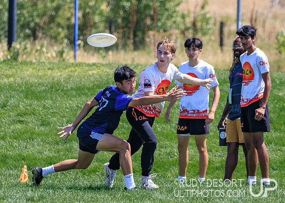 2026 USA Ultimate YCC