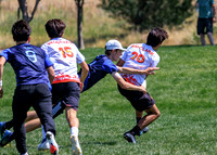 2026 USA Ultimate YCC
