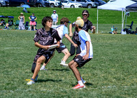 2026 USA Ultimate YCC