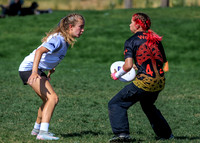 2026 USA Ultimate YCC