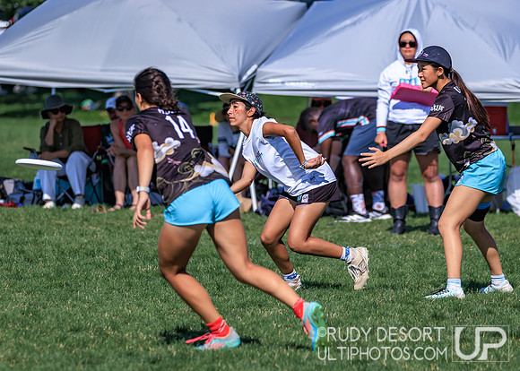 2026 USA Ultimate YCC