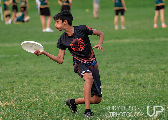 2026 USA Ultimate YCC
