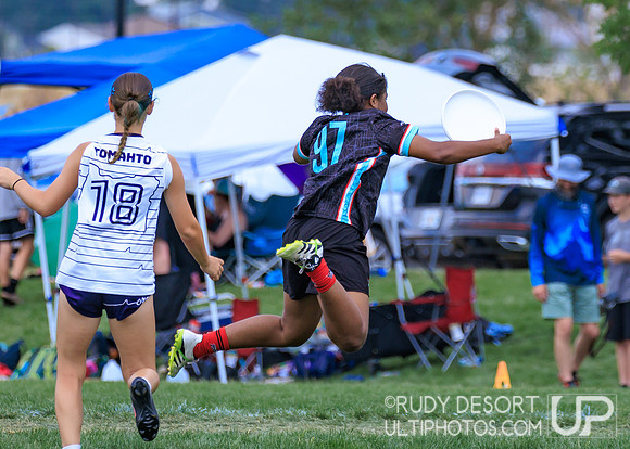 2026 USA Ultimate YCC