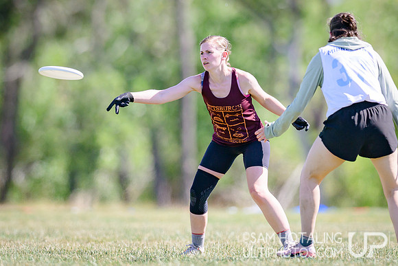 Bracket play at USAU Master's Championships
