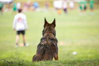 Lehigh Valley Invite - Sunday Action