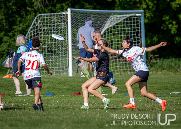 2024 USA Ultimate Division III College Championships ©