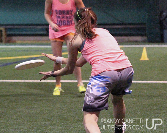 Ultimate Indoor National Championships - Sunday