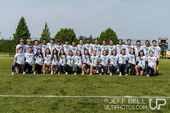 Fable mixed division bronze