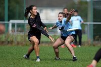 WFDF World Ultimate Club Championships in LIMERICK, IRELAND  15.-22.8 2026