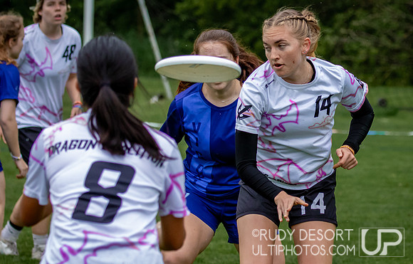 2024 USA Ultimate Division I College Championships ©