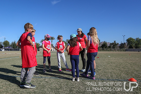2021 USA Ultimate Division I College Championships