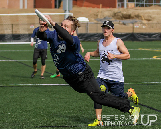 Crouching Tiger, Hidden Panda College Tournament