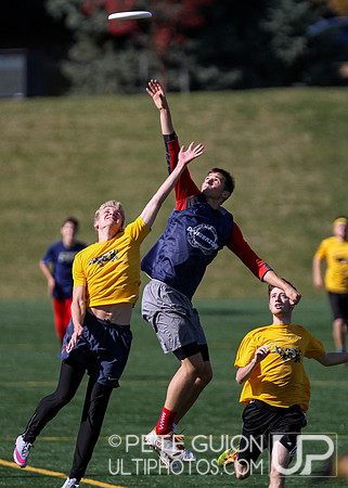 Crouching Tiger, Hidden Panda College Tournament