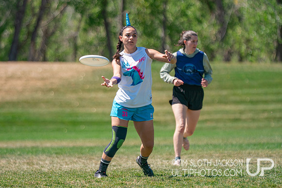 Bracket play at USAU Master's Championships