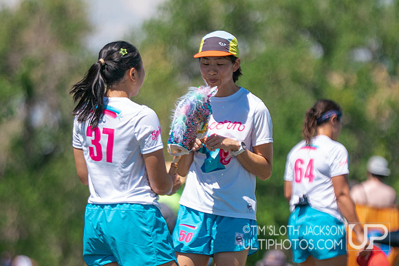 Bracket play at USAU Master's Championships