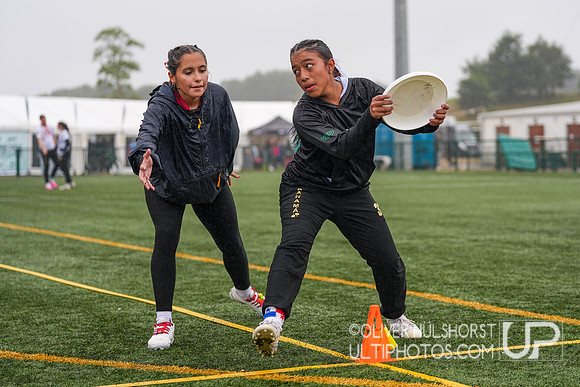 WFDF World Ultimate Club Championships in LIMERICK, IRELAND  15.-22.8 2026