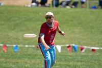 Mixed Semis - shame. Hybrid